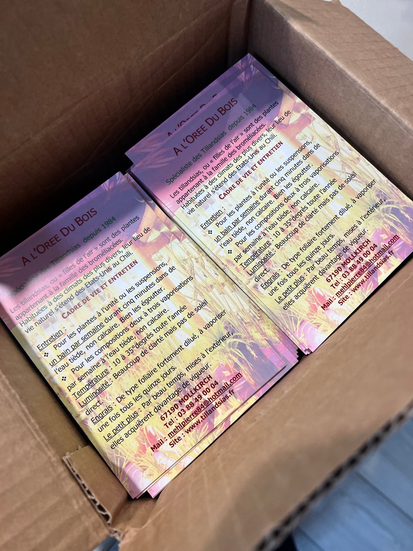 Flyers tous formats
